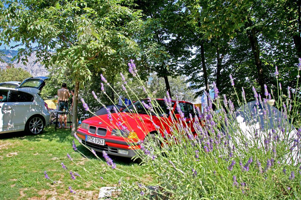 Camping Alpino - Nature Village Malcesine Kültér fotó